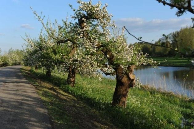 Bed & Breakfast De Neust Beesd 外观 照片